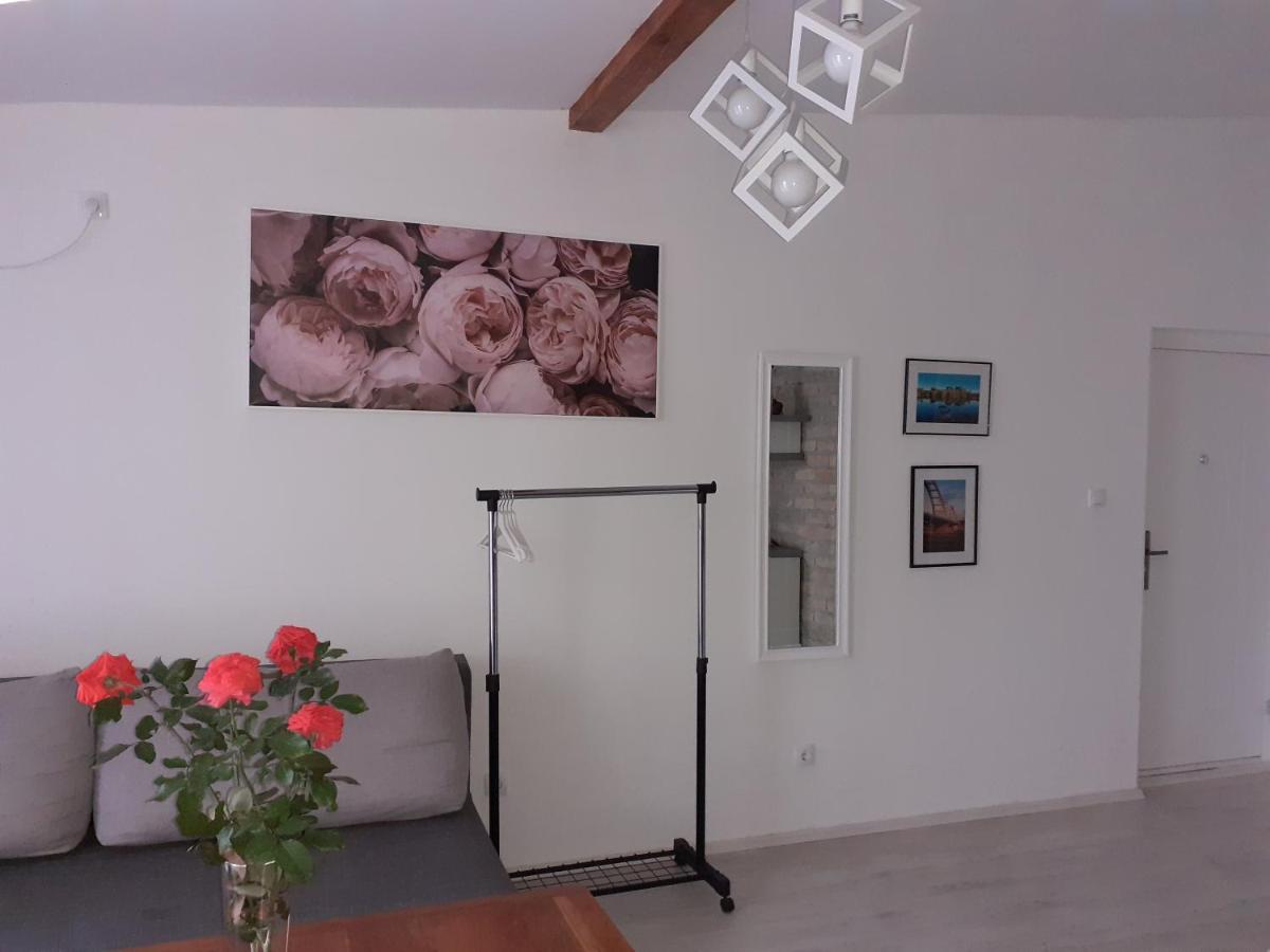 Apartament Flora Nowy Sad Zewnętrze zdjęcie
