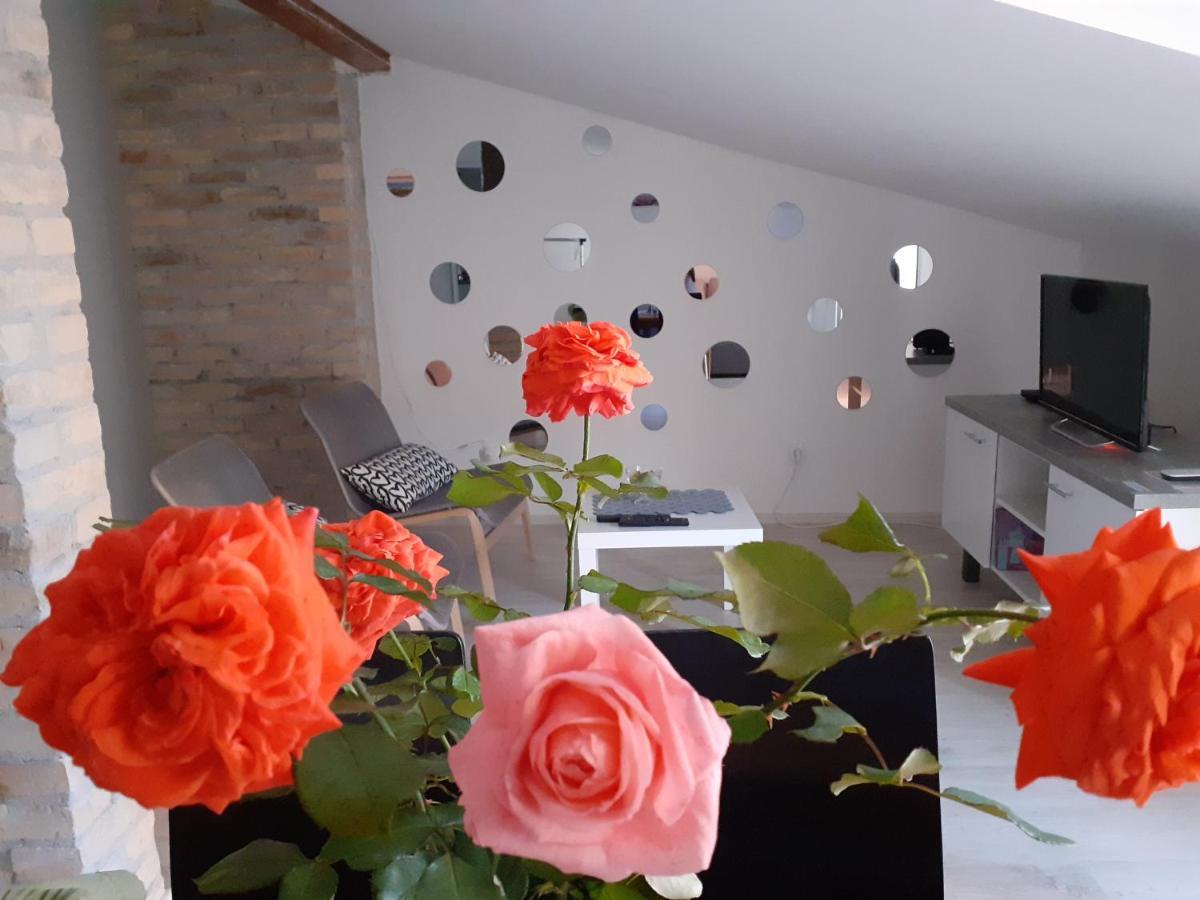 Apartament Flora Nowy Sad Zewnętrze zdjęcie