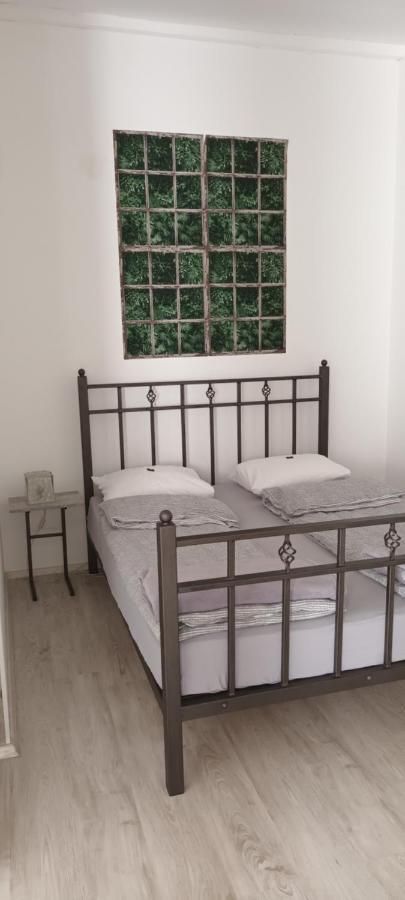 Apartament Flora Nowy Sad Zewnętrze zdjęcie